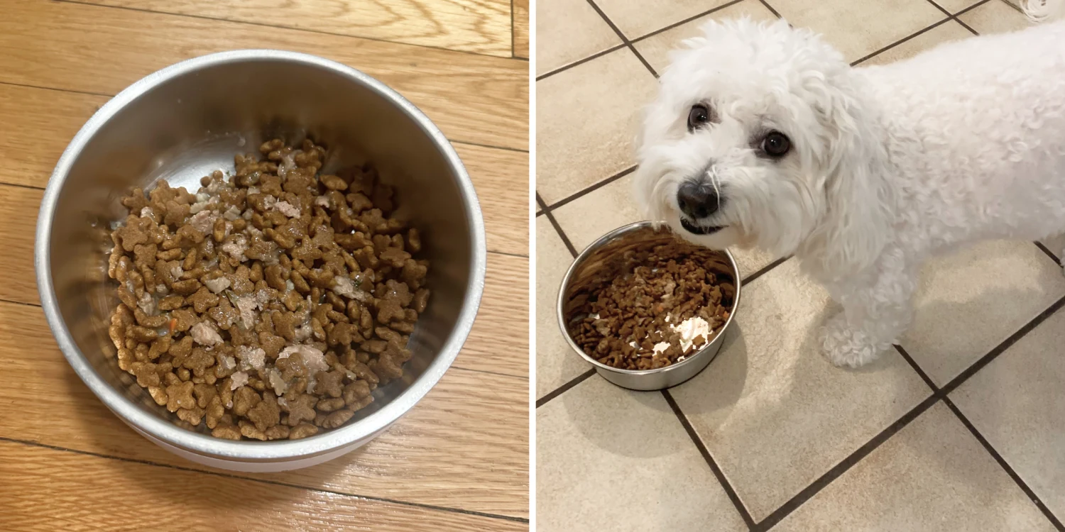 How to Find High-Quality Inexpensive Dog Food