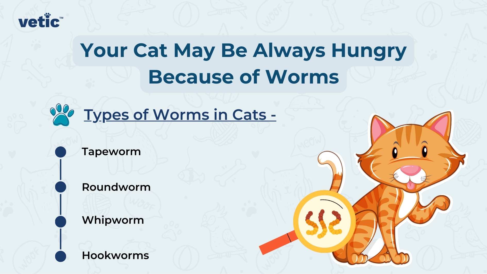 Why Is My Cat Always Hungry? Causes of a Hungry Cat and When To Worry