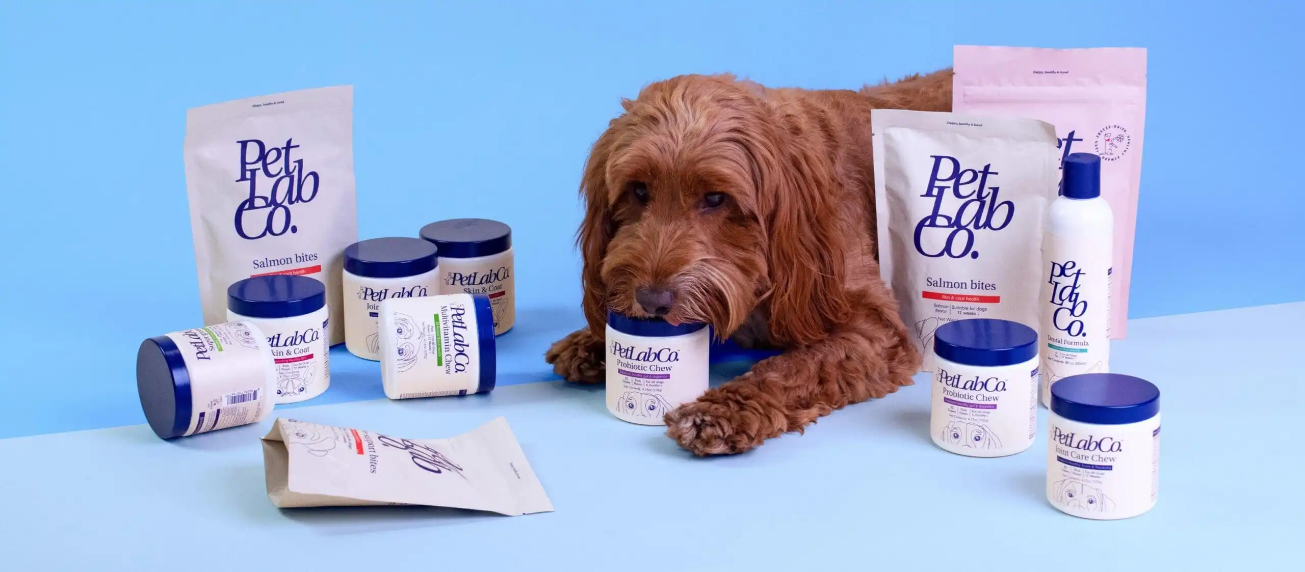Review: Our Honest Experience Testing PetLab Co.’s Products for Dogs